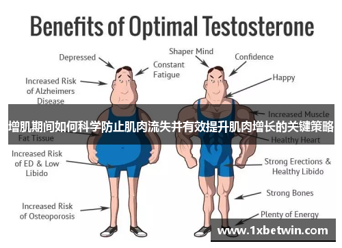 增肌期间如何科学防止肌肉流失并有效提升肌肉增长的关键策略