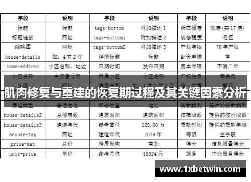 肌肉修复与重建的恢复期过程及其关键因素分析